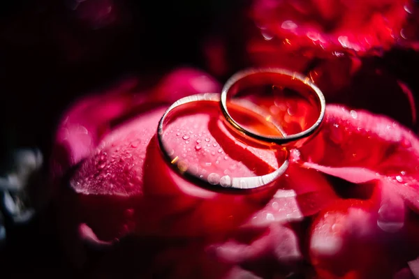 แหวนหม นบนพ นหล าของ Boke — ภาพถ่ายสต็อก