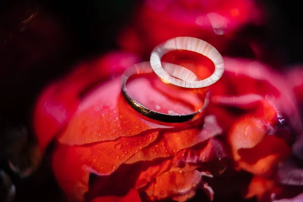 Bague Fiançailles Sur Fond Bleu Boke — Photo