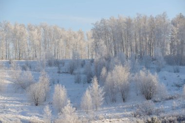 Noel sabahı. karlı kış orman