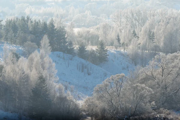 Rural winter landscape with white frost in a ravine with trees