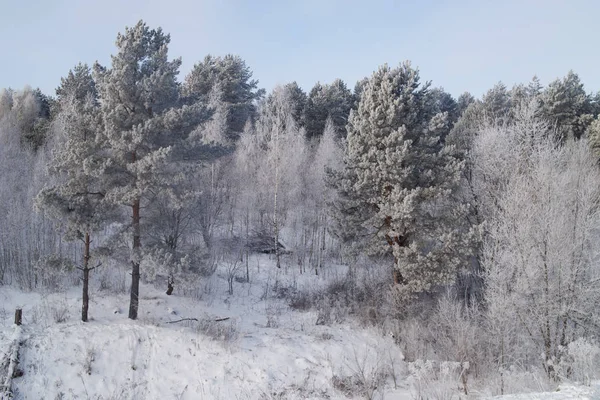 Vidéki Téli Táj Fehér Fagy Szakadékban Fák — Stock Fotó