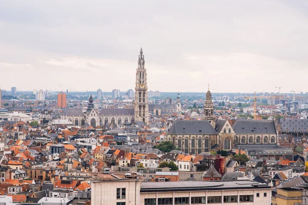 Belgio Veduta Aerea Del Porto Anversa Dalla Terrazza Panoramica Del — Foto Stock