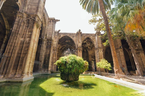 Catedral Santa Cruz Santa Eulalia Barrio Gótico Barcelona España Cataluña — Foto de Stock