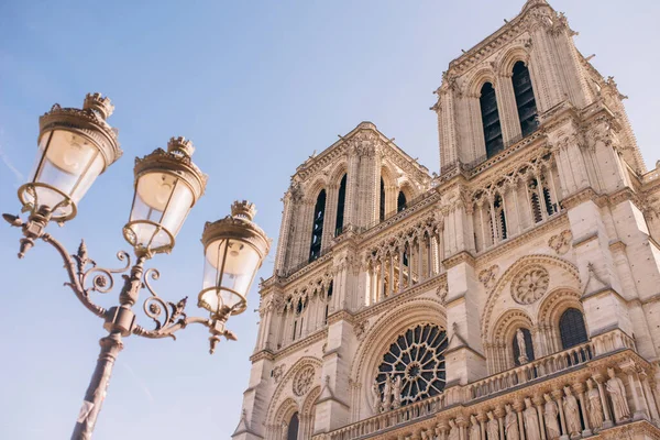 Fasada Katedry Notre Dame Średniowiecznego Kościoła Katedralnego Paryżu Francja Ciągu — Zdjęcie stockowe