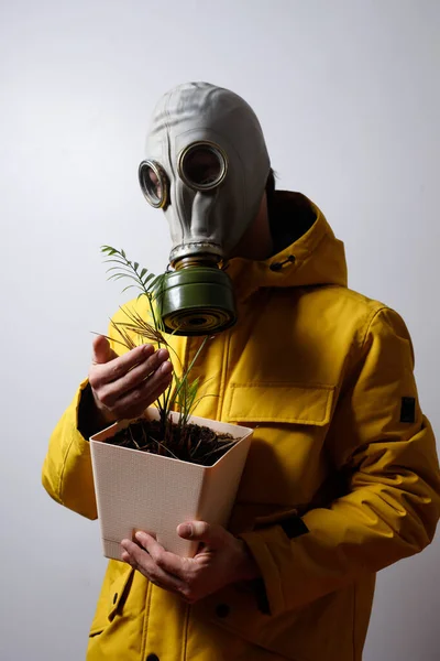 Elinde Çiçek Olan Gaz Maskeli Bir Adam Beyaz Bir Arka — Stok fotoğraf