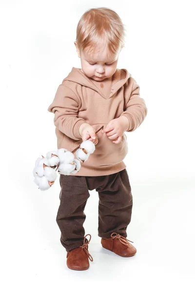 白い背景に 茶色のズボンを着たチャーミングな1歳の男の子のファッショナブルな肖像画 ベージュのパーカー — ストック写真