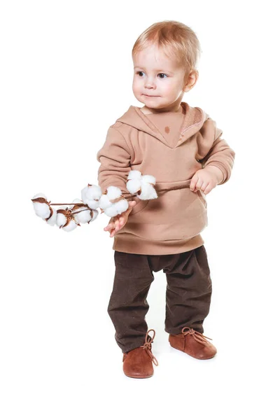 白い背景に 茶色のズボンを着たチャーミングな1歳の男の子のファッショナブルな肖像画 ベージュのパーカー — ストック写真