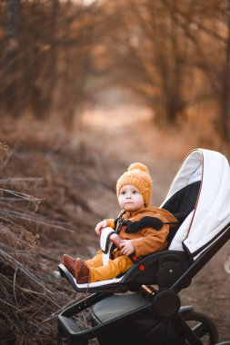 Sıcak ceketli, şapkalı, modern bebek arabasında parkta yürüyen bir çocuk. Bebek arabasındaki çocuk.