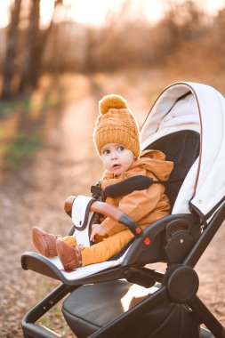 Sıcak ceketli, şapkalı, modern bebek arabasında parkta yürüyen bir çocuk. Bebek arabasındaki çocuk.