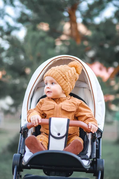 Cute little beautiful one year old boy sitting in a stroller and waiting for his mother