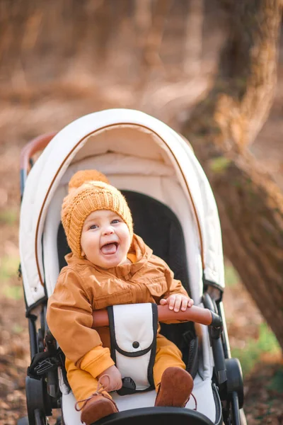 Baby Pojke Varm Jacka Och Hatt Sitter Modern Barnvagn Promenad — Stockfoto