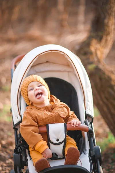 Baby Pojke Varm Jacka Och Hatt Sitter Modern Barnvagn Promenad — Stockfoto