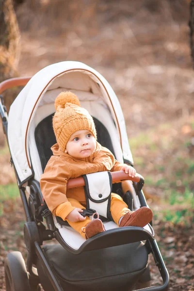 Junge Warmer Jacke Und Hut Sitzt Modernen Kinderwagen Auf Einem — Stockfoto