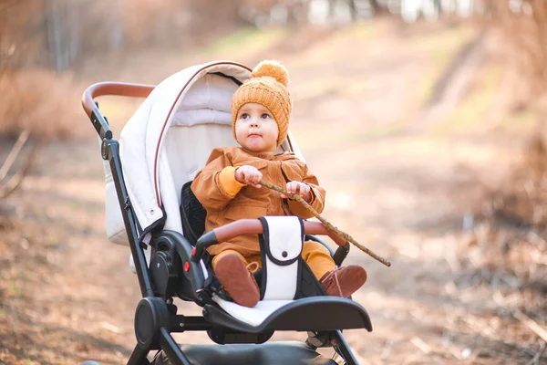 Baby Pojke Varm Jacka Och Hatt Sitter Modern Barnvagn Promenad — Stockfoto