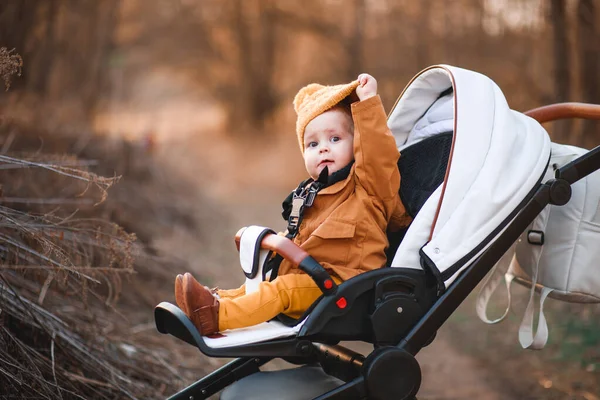 Baby Pojke Varm Jacka Och Hatt Sitter Modern Barnvagn Promenad — Stockfoto