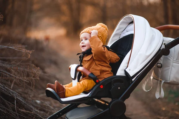 Baby Pojke Varm Jacka Och Hatt Sitter Modern Barnvagn Promenad — Stockfoto