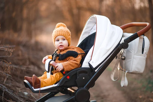 Baby Pojke Varm Jacka Och Hatt Sitter Modern Barnvagn Promenad — Stockfoto