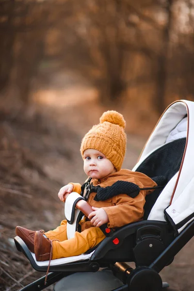 Малыш Теплой Куртке Шляпе Сидит Современной Коляске Прогулке Парке Ребенок — стоковое фото
