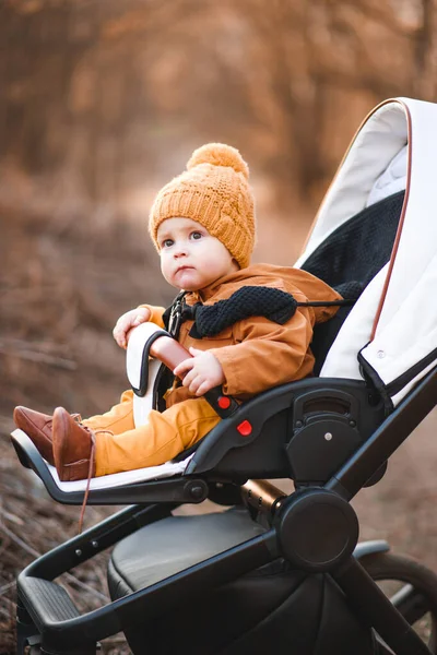 Малыш Теплой Куртке Шляпе Сидит Современной Коляске Прогулке Парке Ребенок — стоковое фото