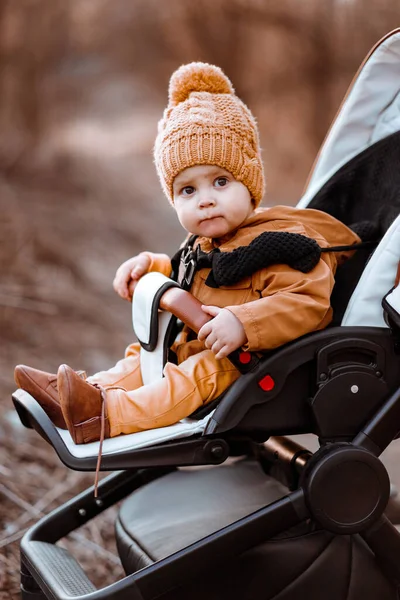 Baby Pojke Varm Jacka Och Hatt Sitter Modern Barnvagn Promenad — Stockfoto