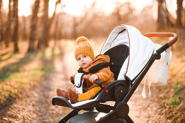 Baby Pojke Varm Jacka Och Hatt Sitter Modern Barnvagn Promenad — Stockfoto