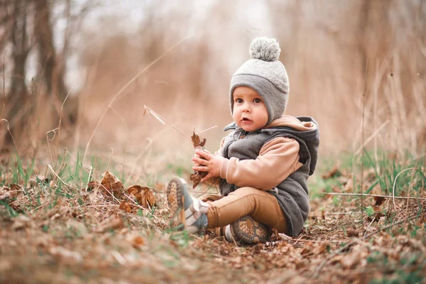 Small Boy Sitting Forest Path Gray Jelly Looks Curiously Camera — Stock Photo, Image