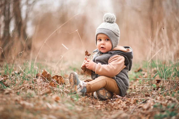 a small boy is sitting on a forest path in a gray jelly and looks curiously at the camera