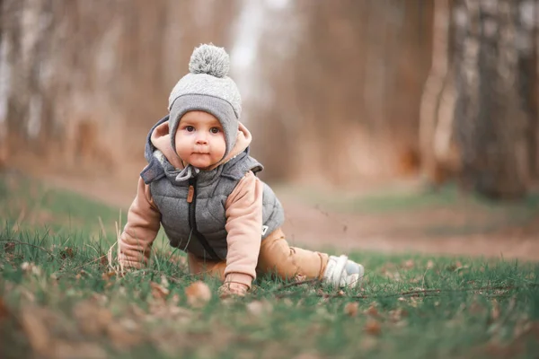 a small boy is sitting on a forest path in a gray jelly and looks curiously at the camera