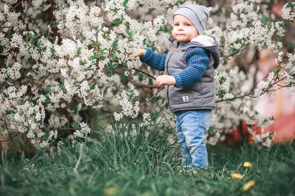 Boy Walks Garden Flowering Trees Spring Breath — Stock Photo, Image