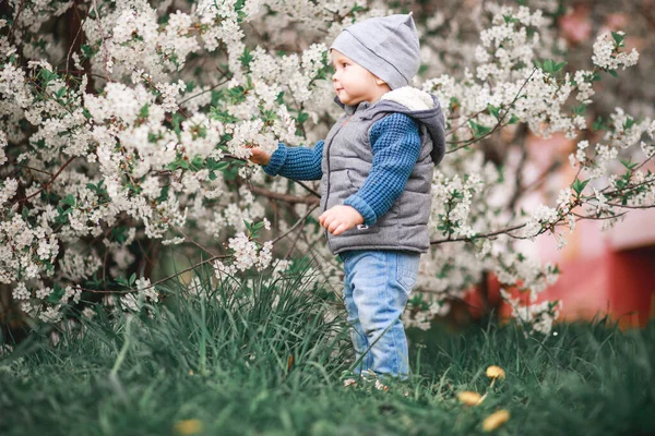 Porträt Eines Jungen Einem Blühenden Baum Kinder Spazieren Einem Frühlingstag — Stockfoto