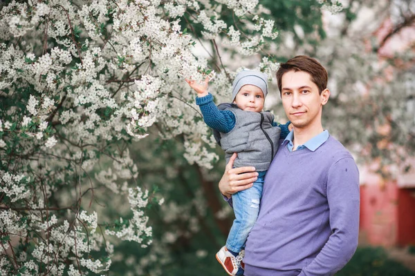 Mutlu Baba Oğul Baharda Bahçede Çiçek Açan Ağaçların Arkasında Durur — Stok fotoğraf
