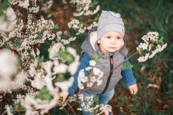 Niño Camina Por Jardín Con Árboles Florecientes Respire Primavera — Foto de Stock