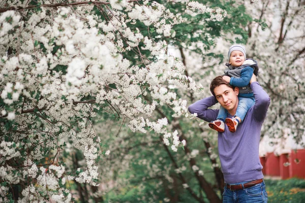 Батько Маленький Хлопчик Розважаються Біля Вишневих Квітучих Дерев Квіти Цвітуть — стокове фото