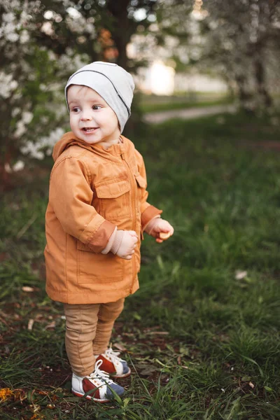 Niño Camina Por Jardín Con Árboles Florecientes Respire Primavera — Foto de Stock