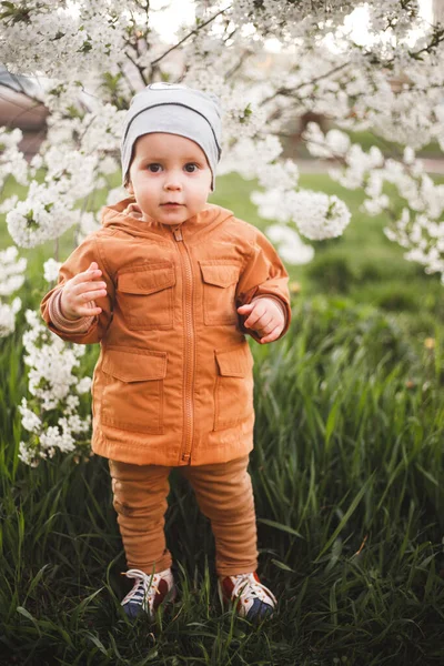 Ein Junge Geht Durch Den Garten Mit Blühenden Bäumen Frühlingshauch — Stockfoto