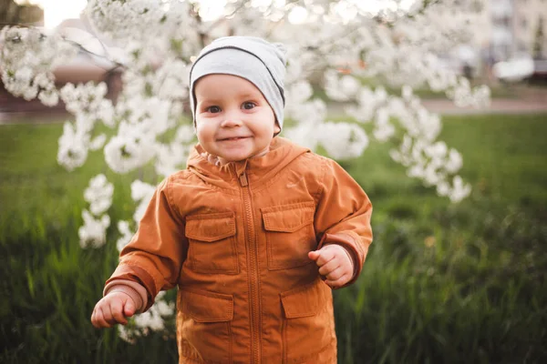 Egy Fiú Sétál Kertben Virágzó Fákkal Tavaszi Lehelet — Stock Fotó