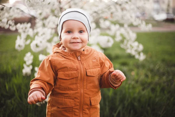 Chlapec Chodí Zahradě Kvetoucími Stromy Jarní Dech — Stock fotografie