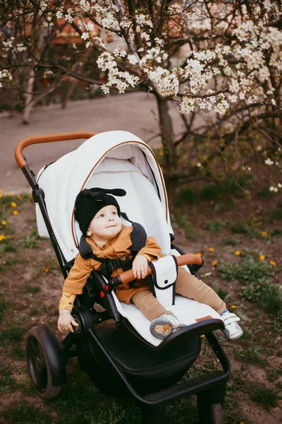 Een Baby Een Beige Jas Een Kinderwagen Een Wandeling Het — Stockfoto