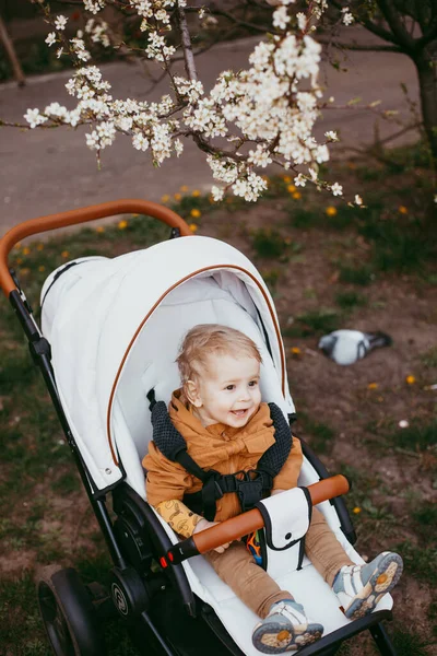 Dítě Béžové Bundě Kočárku Procházce Jarním Parku — Stock fotografie