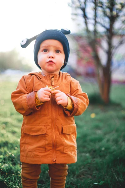 Retrato Niño Año Con Una Gorra Lana Caracol Fondo Naturaleza — Foto de Stock