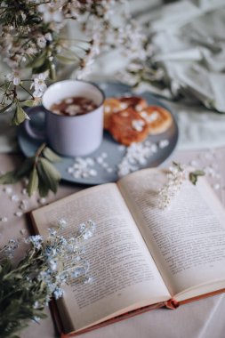 Sabah kahvaltısı, kızarmış güzel peynirli kekler, masa örtüsünün üstünde, bahar çiçeğinin yanında.
