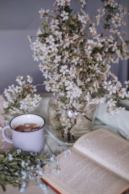 Sabah kahvaltısı, kızarmış güzel peynirli kekler, masa örtüsünün üstünde, bahar çiçeğinin yanında.