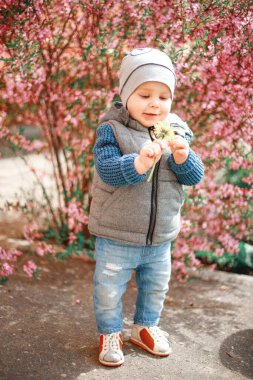 Kot giymiş bir çocuk elinde karahindiba ile çiçek açan bir çalılığın yanında duruyor.