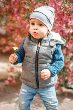 Kot giymiş bir çocuk elinde karahindiba ile çiçek açan bir çalılığın yanında duruyor.