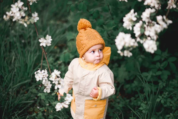 Uroczy Jednoletni Chłopiec Stoi Wiosną Pobliżu Kwitnącego Jabłoni — Zdjęcie stockowe