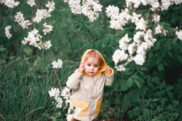 Menino Bonito Ano Idade Fica Perto Uma Árvore Maçã Florescendo — Fotografia de Stock