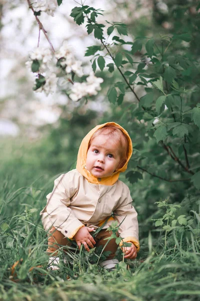 Милый Годовалый Мальчик Стоит Около Цветущей Яблони Весной — стоковое фото