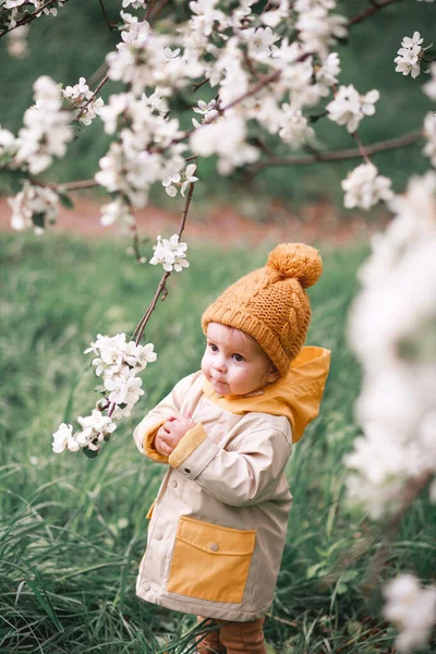Милий Однорічний Хлопчик Стоїть Біля Квітучої Яблуні Навесні — стокове фото