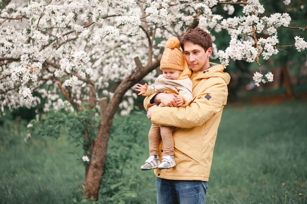 Padre Hijo Exuberante Jardín Junto Los Manzanos Primavera — Foto de Stock