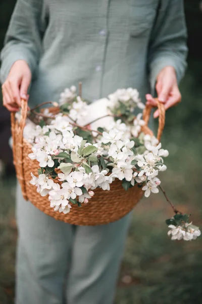 Flores Maçã Uma Cesta Vime Mão Uma Mulher Primavera — Fotografia de Stock